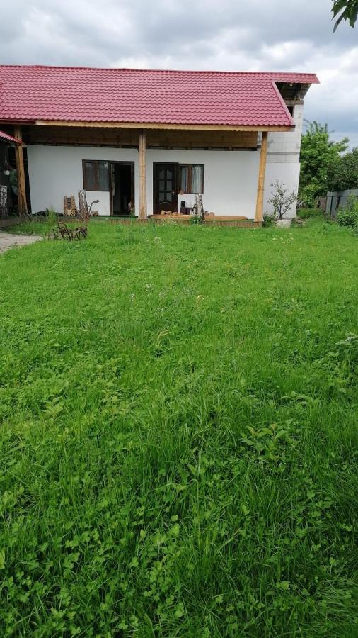 Вілла Jugul Taranului Agropensiune Polovragi, Gorj Екстер'єр фото